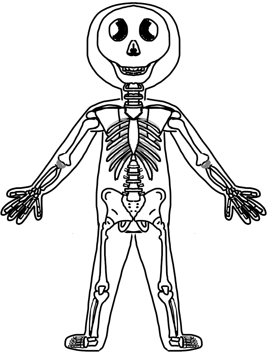 Skeletal System Coloring Pages Coloring Pages