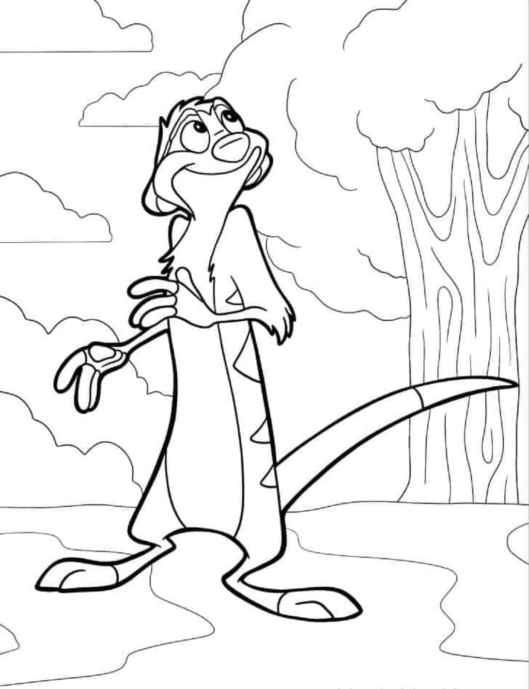 Timon Printable Coloring Pages
