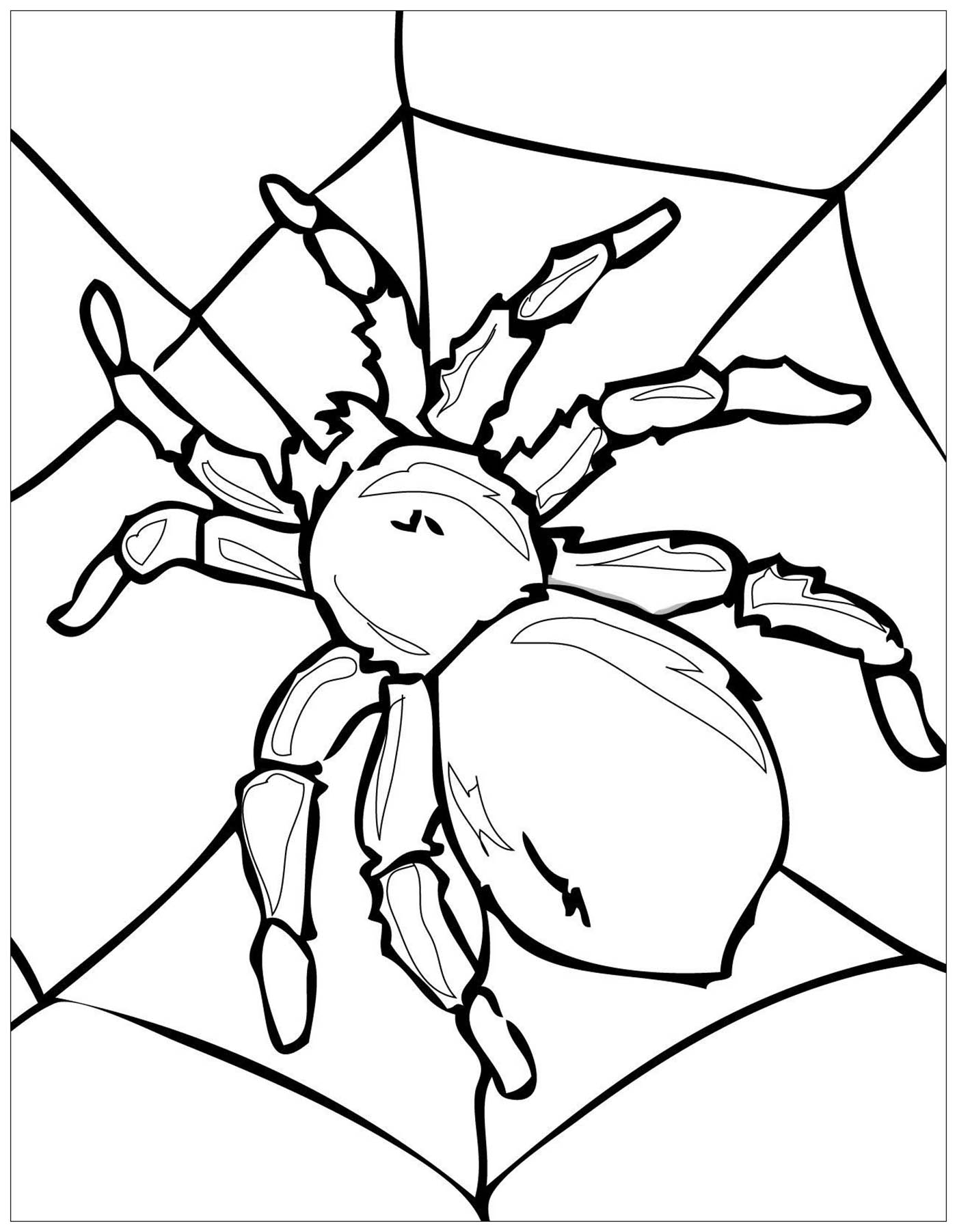Printable Bug Coloring Pages