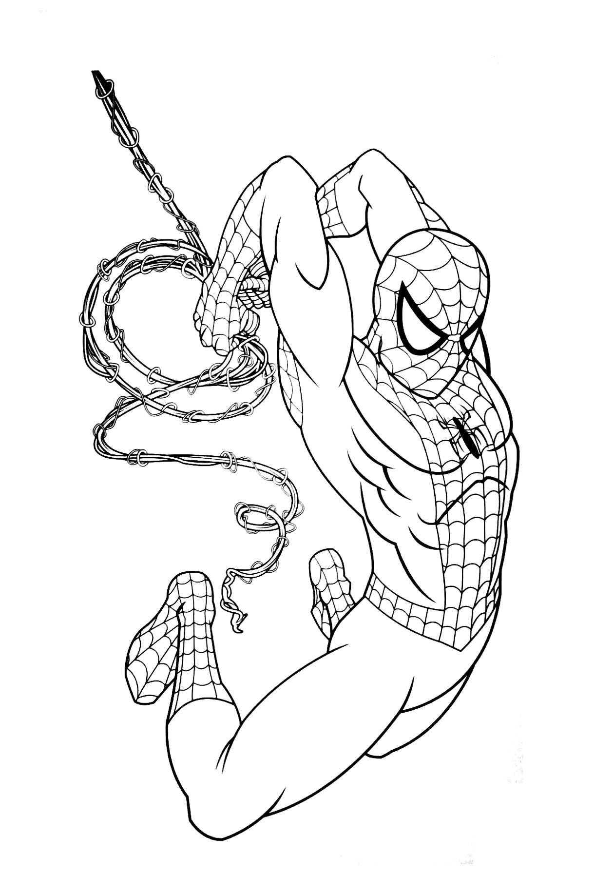 Printable Coloring Pages Spiderman