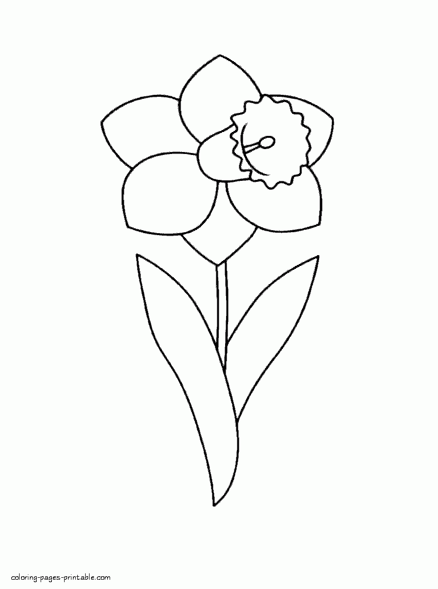 Spring Flower Daffodil COLORING PAGES PRINTABLE COM