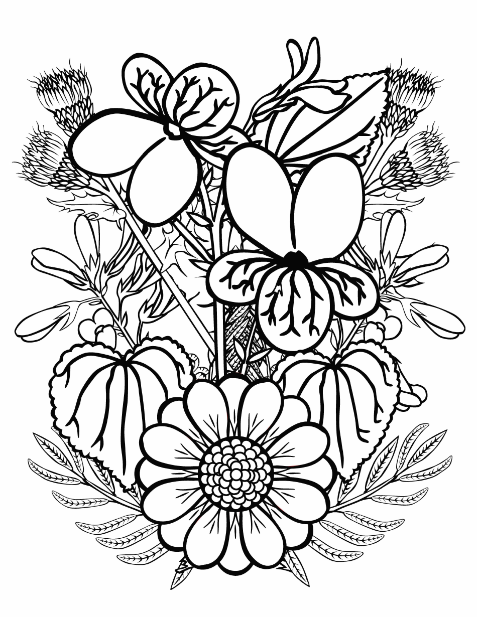 Spring Flowers Coloring Pages Download Printable PDF Templateroller