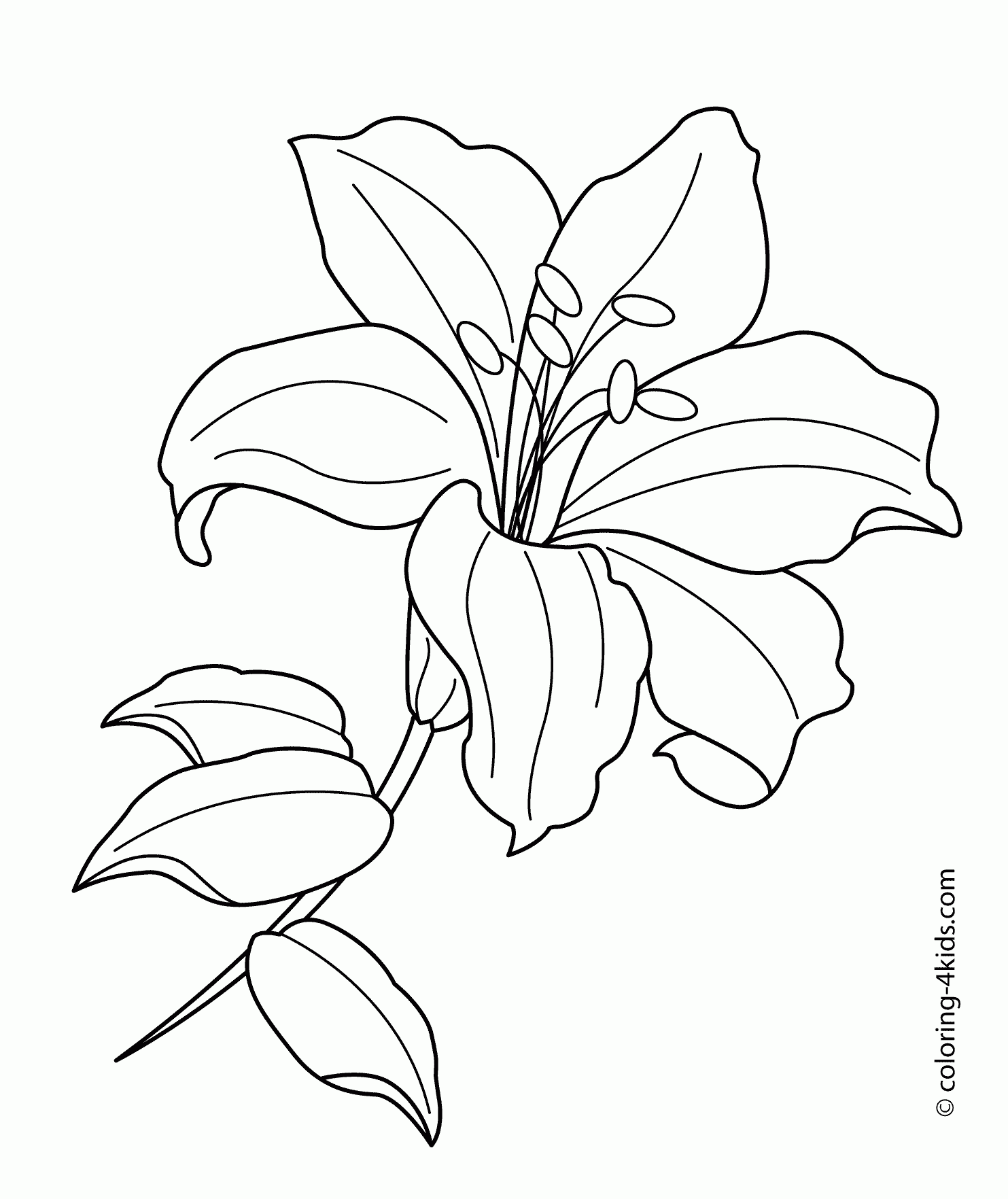Spring Flowers Drawing At GetDrawings Free Download