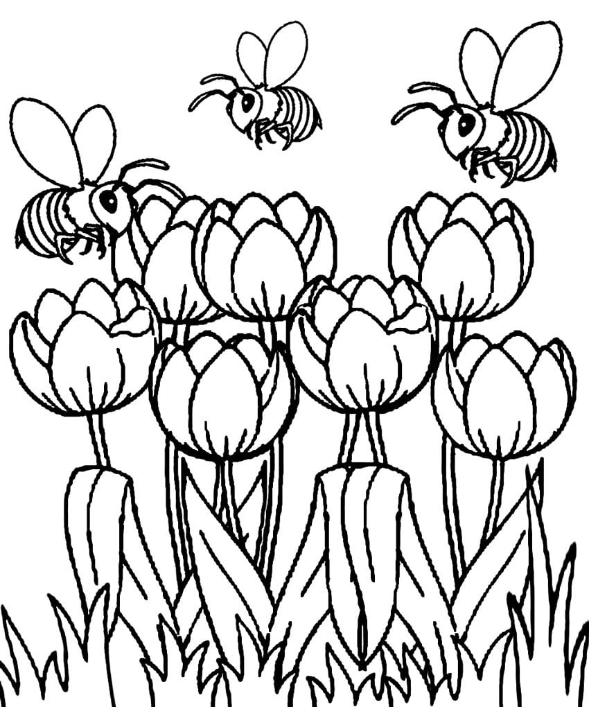 Spring With Butterfly Flower And Rainbow Coloring Page Free Coloring Pages Online