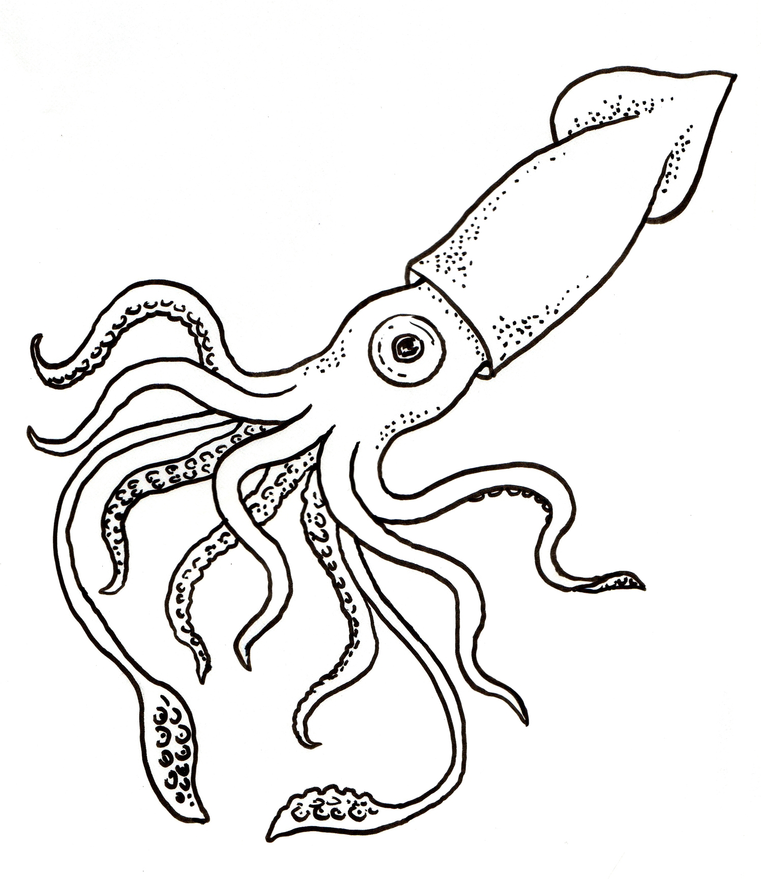 Squid Coloring Pages To Download And Print For Free