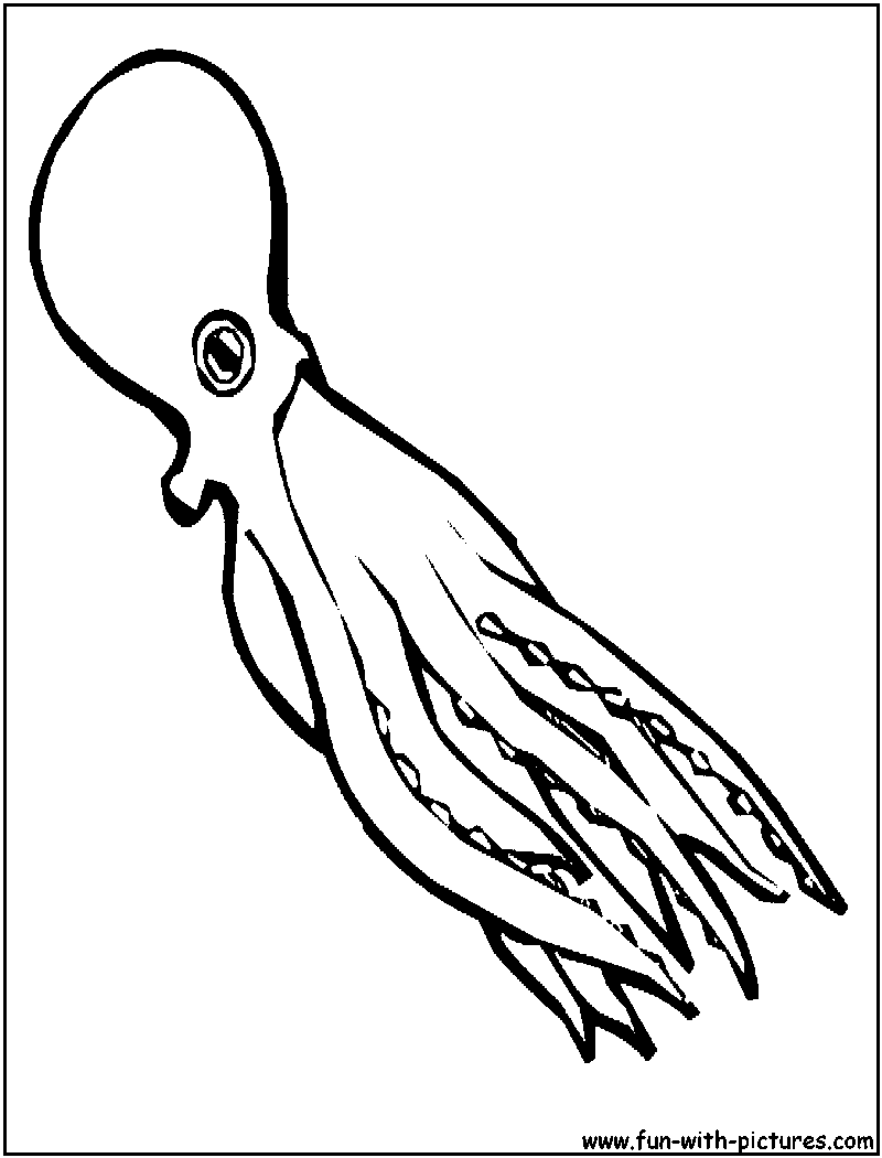 Squid Coloring Pages To Download And Print For Free
