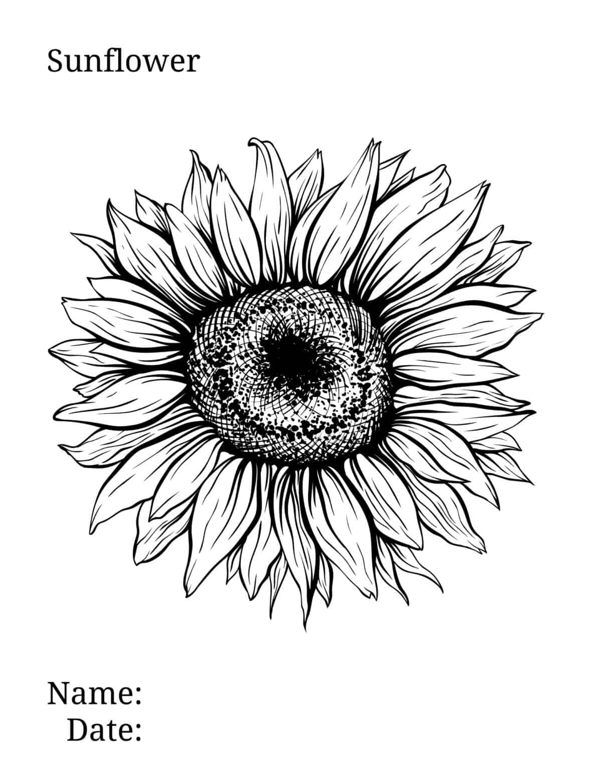 Sunflower Coloring Page Brighten Your Day With Floral Fun