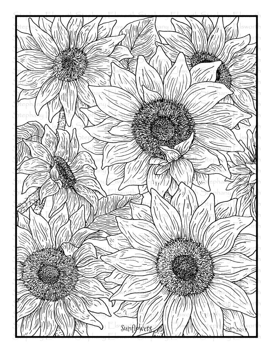 Sunflower Coloring Page Printable Meaghan Mcnulty