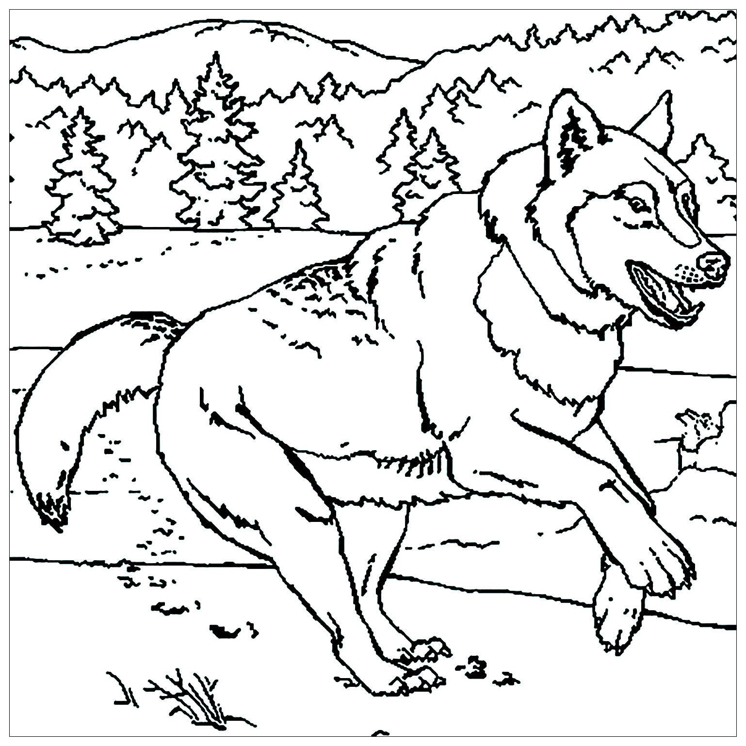 Teen Wolf Colouring Pages Sketch Coloring Page