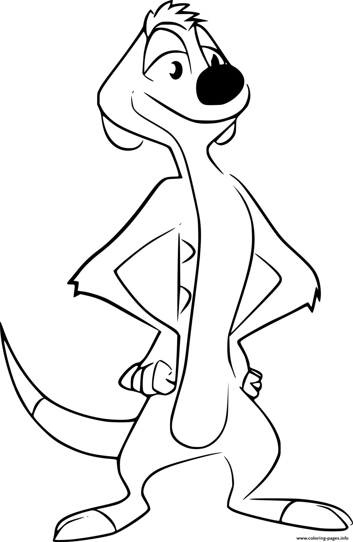 Timon From Lion Guard Coloring Page Printable