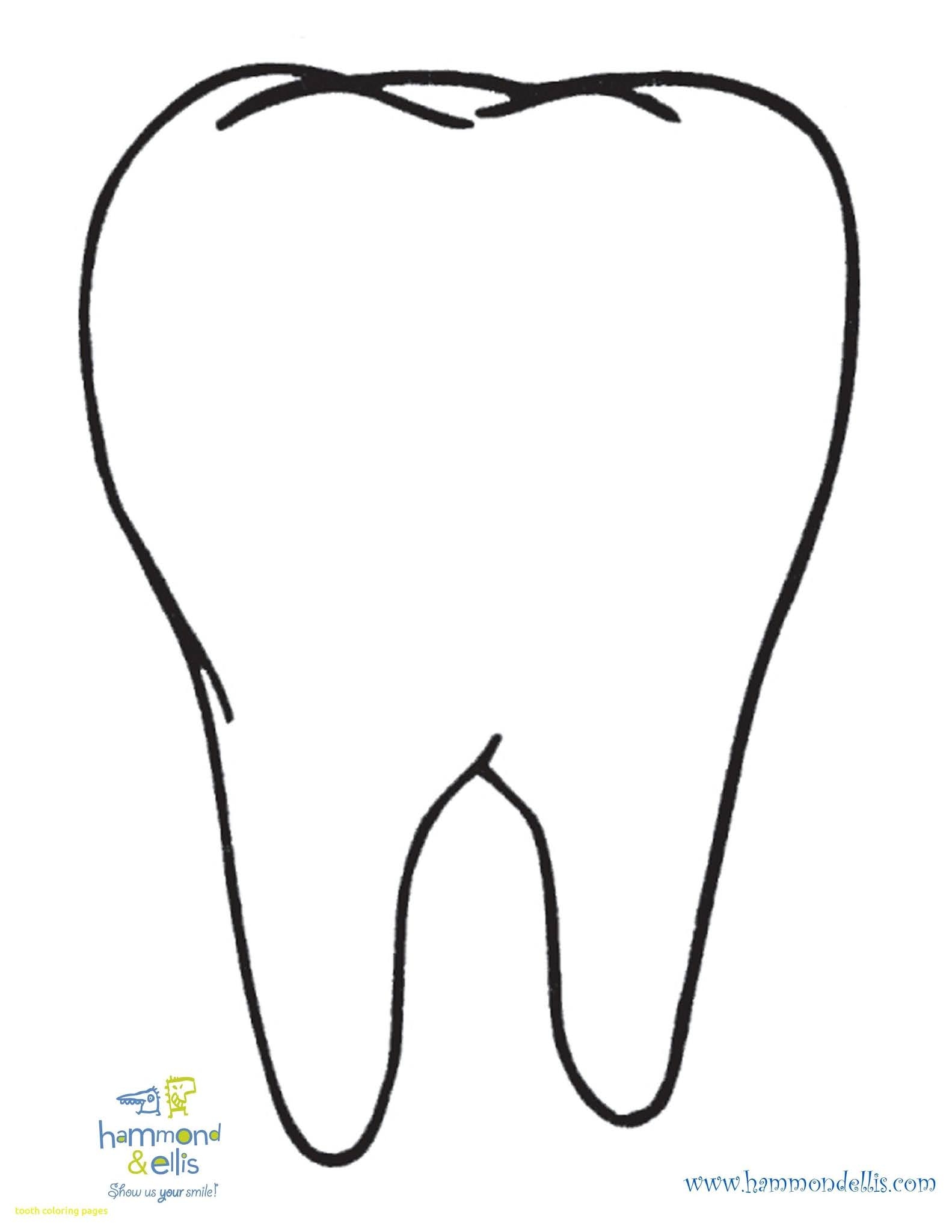 Tooth Coloring Pages Coloring Print