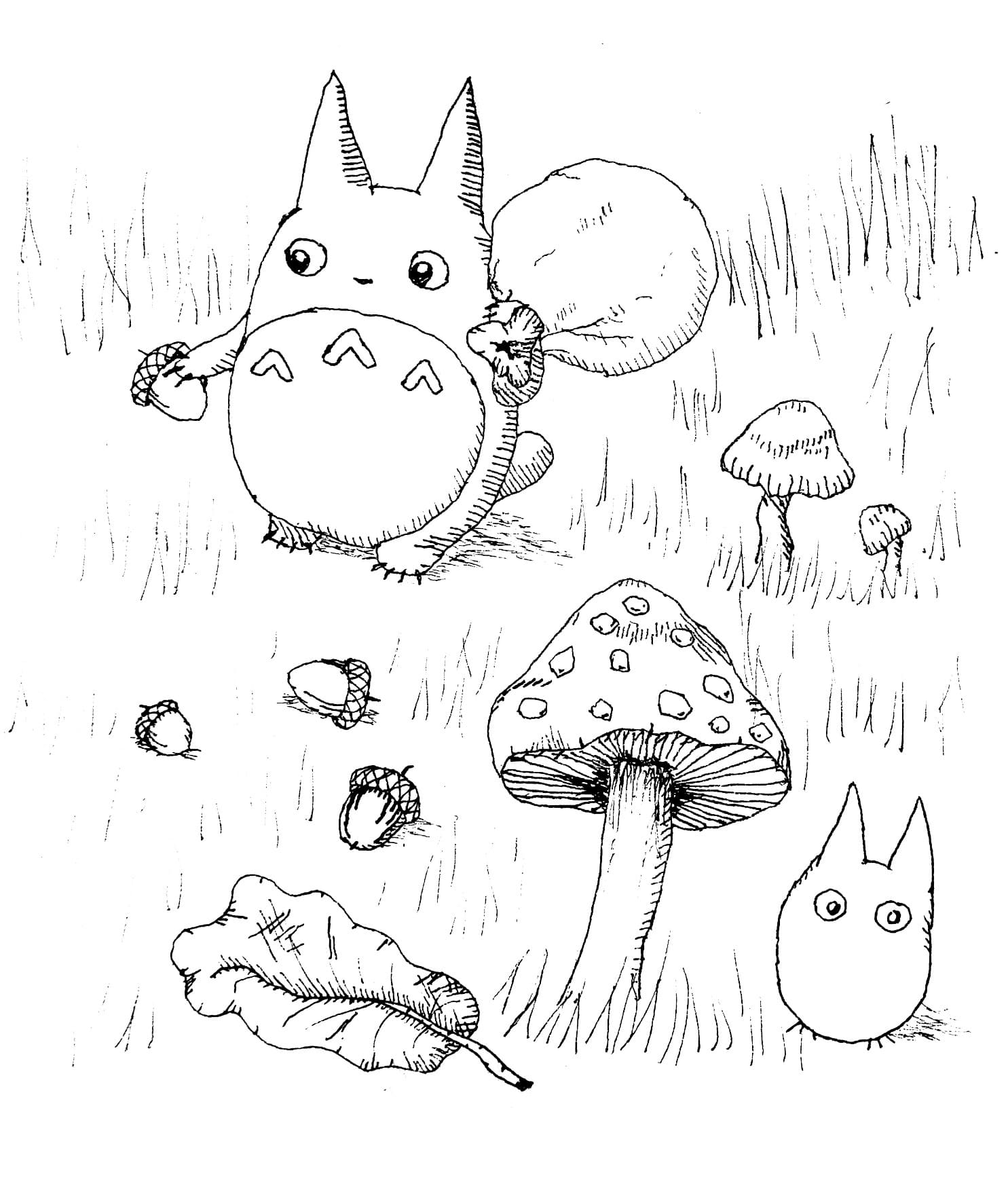 Printable Totoro Coloring Pages