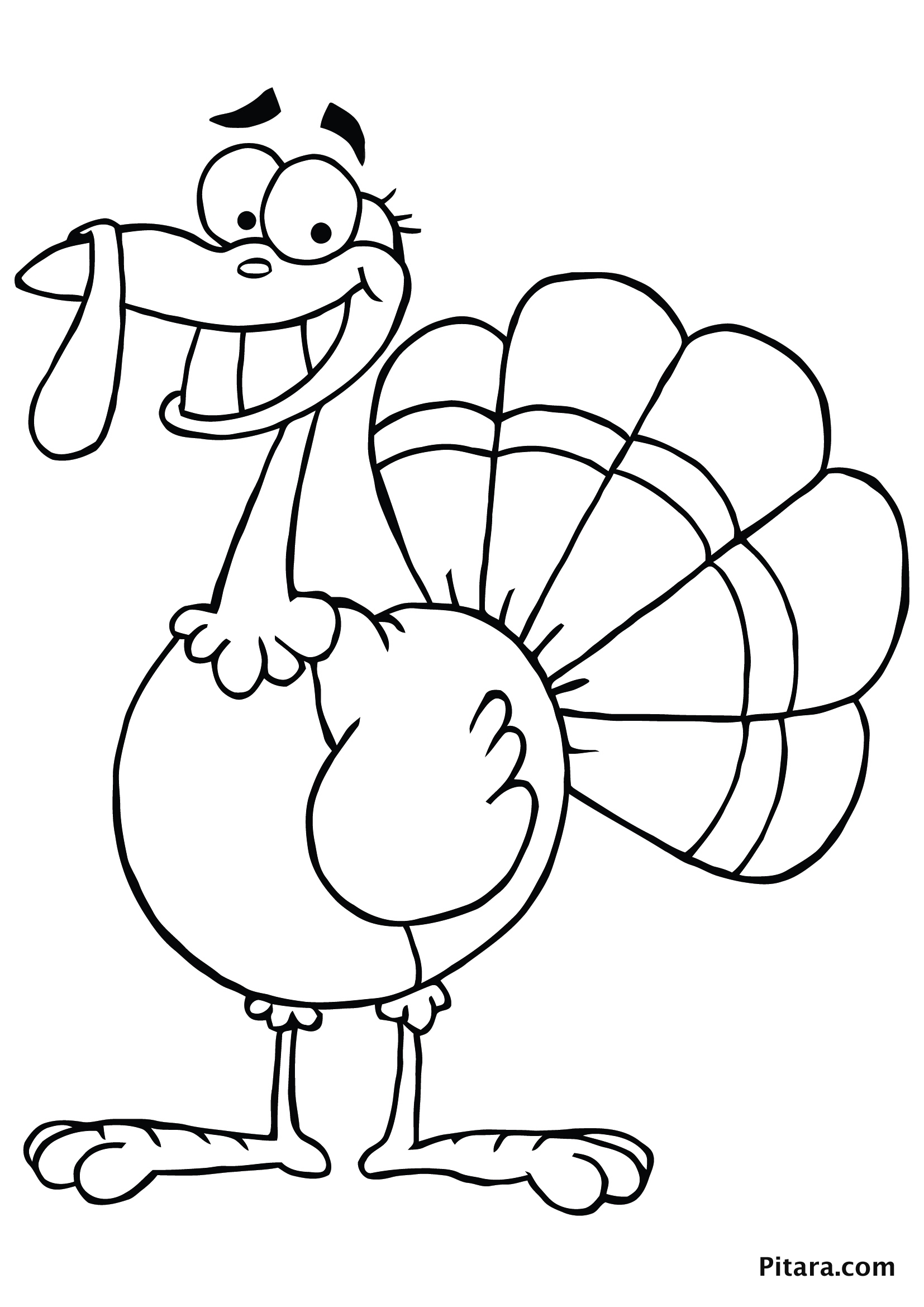 Printable Turkey Color Pages