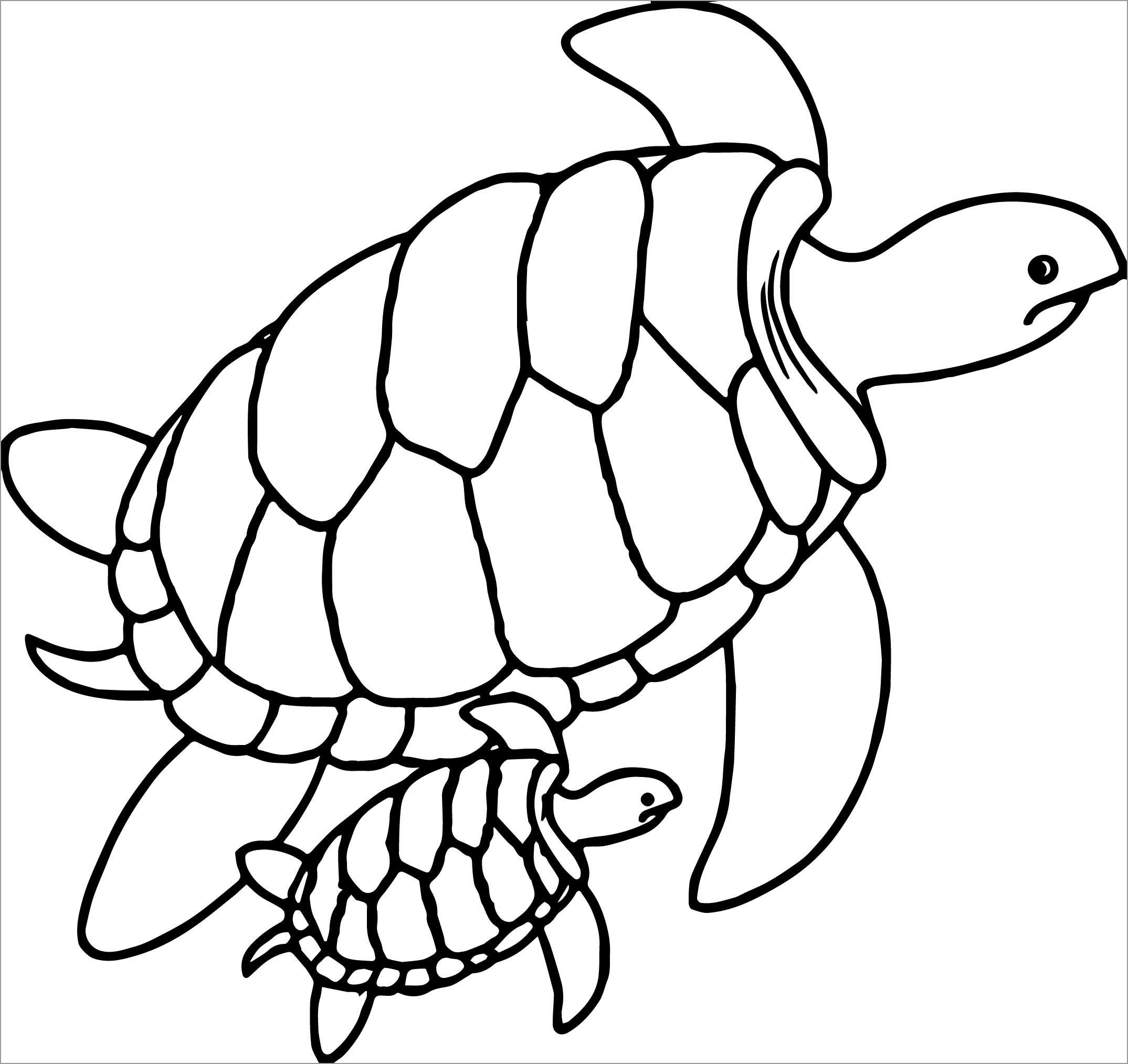 Sea Turtle Coloring Page Printable