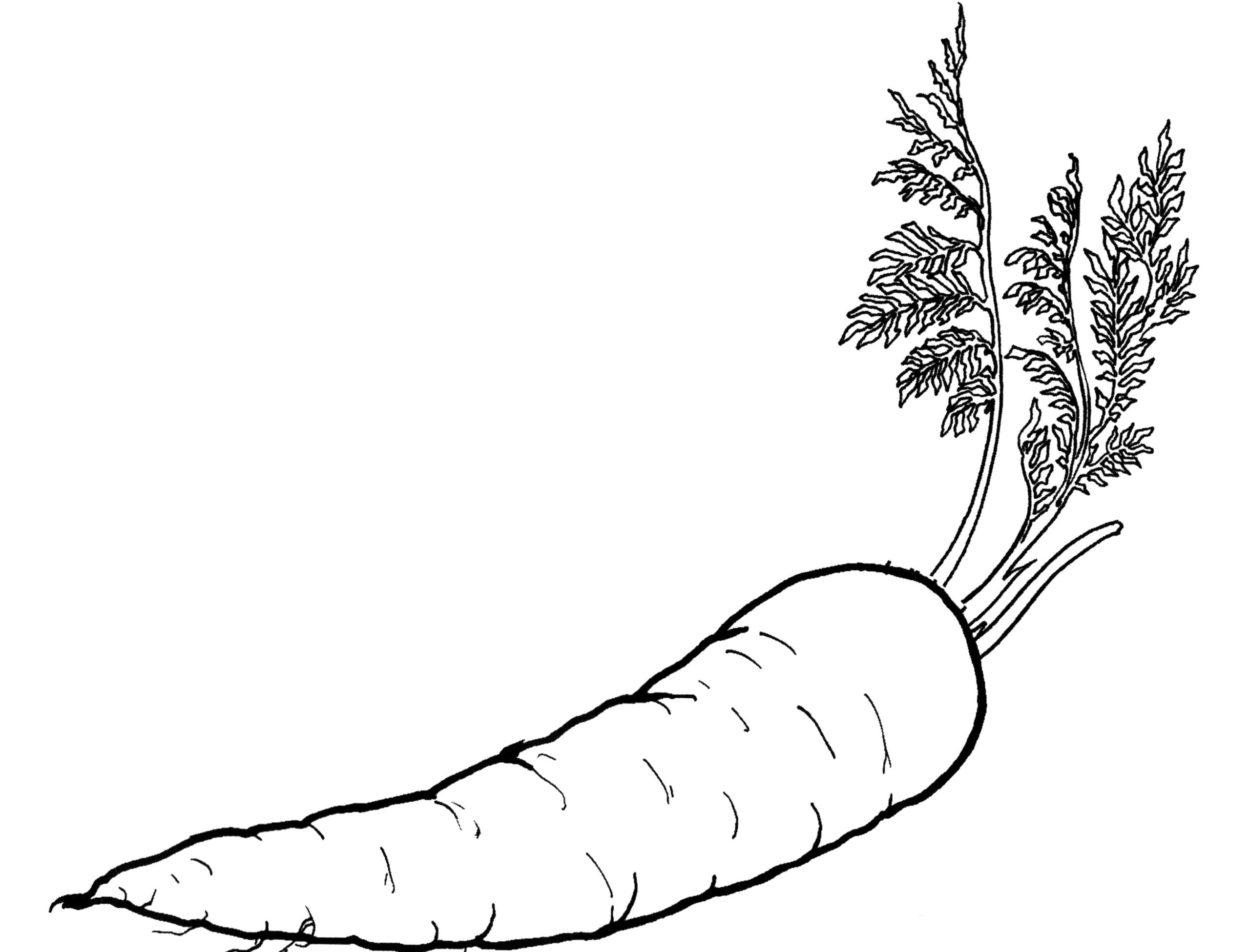 Vegetable Coloring Pages Best Coloring Pages For Kids