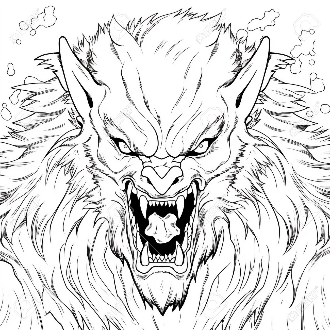 Werewolf Coloring Pages For Adults Stock Photo Picture And Royalty Free Image Image 209934791 