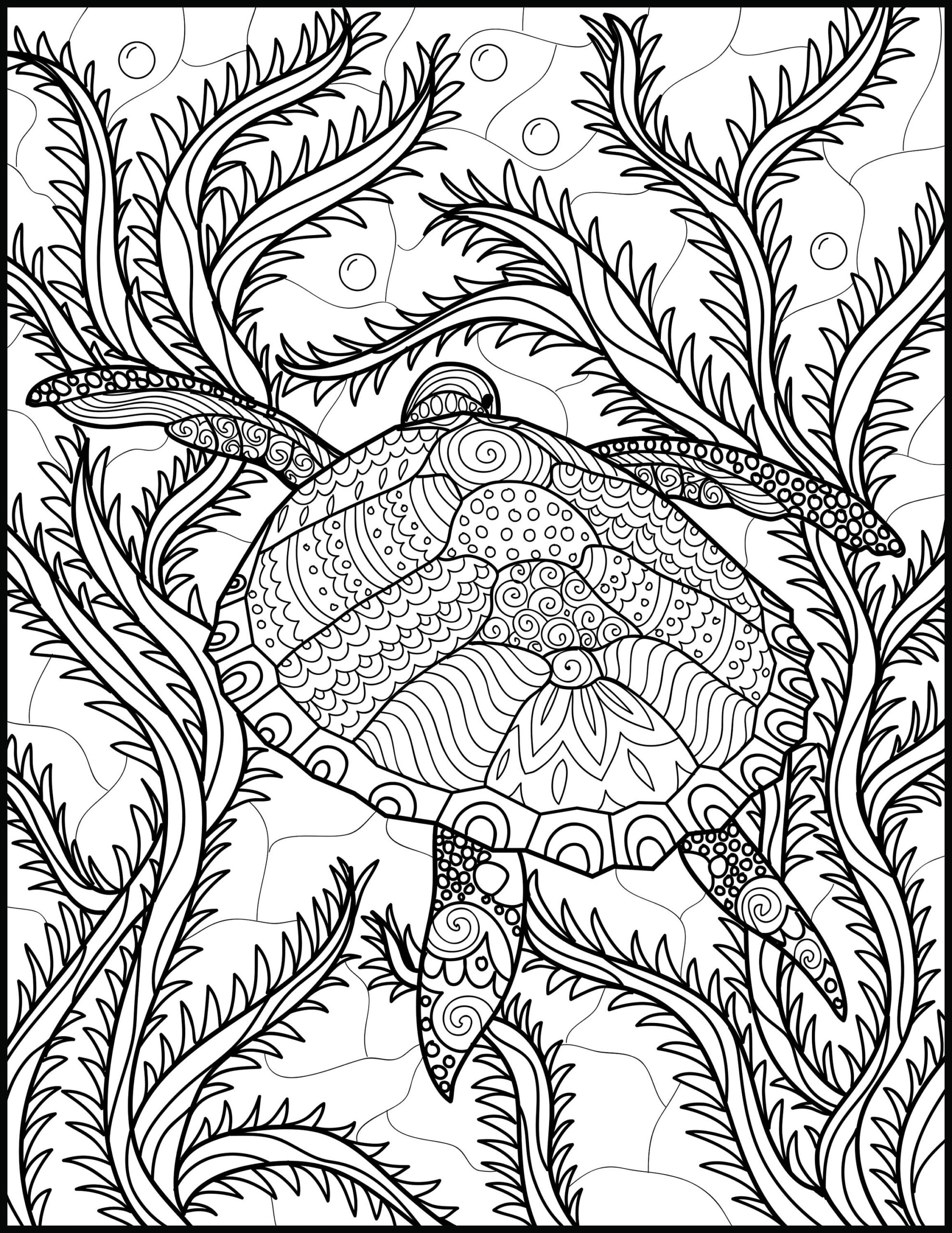 Wild Animal Coloring Pages For Adults Girlycop