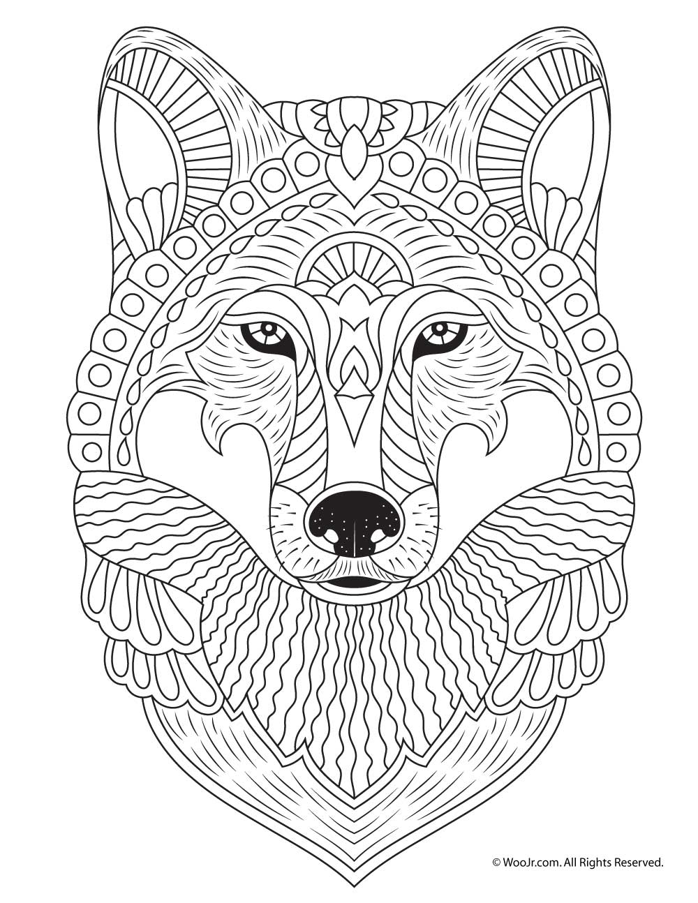 Wild Animals Coloring Pdf