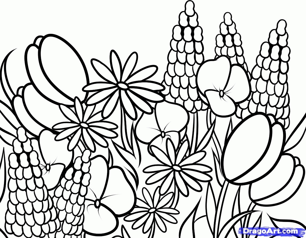 Wildflower Flower Coloring Pages Coloring Pages