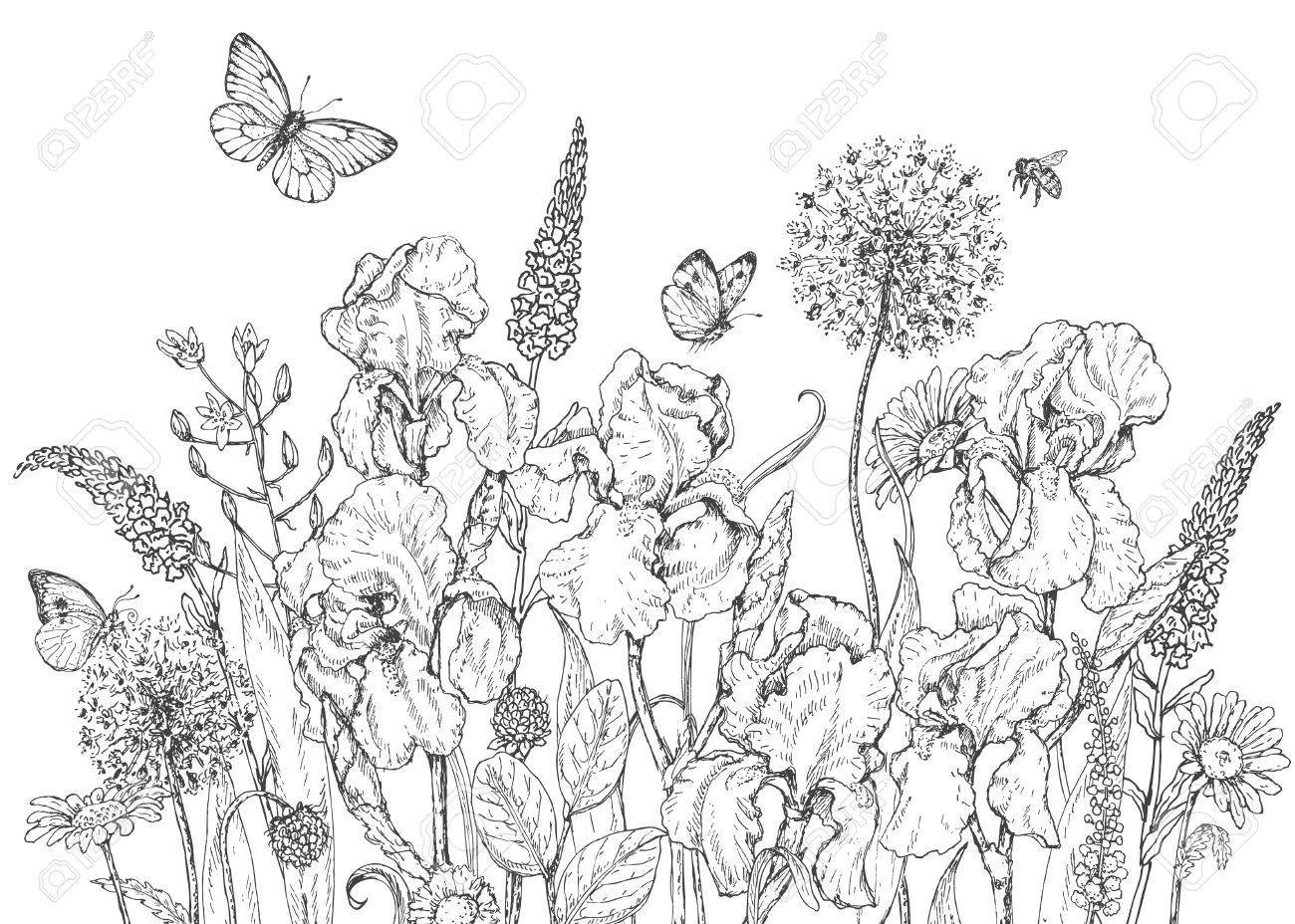 Wildflower Meadow Coloring Page Coloring Pages