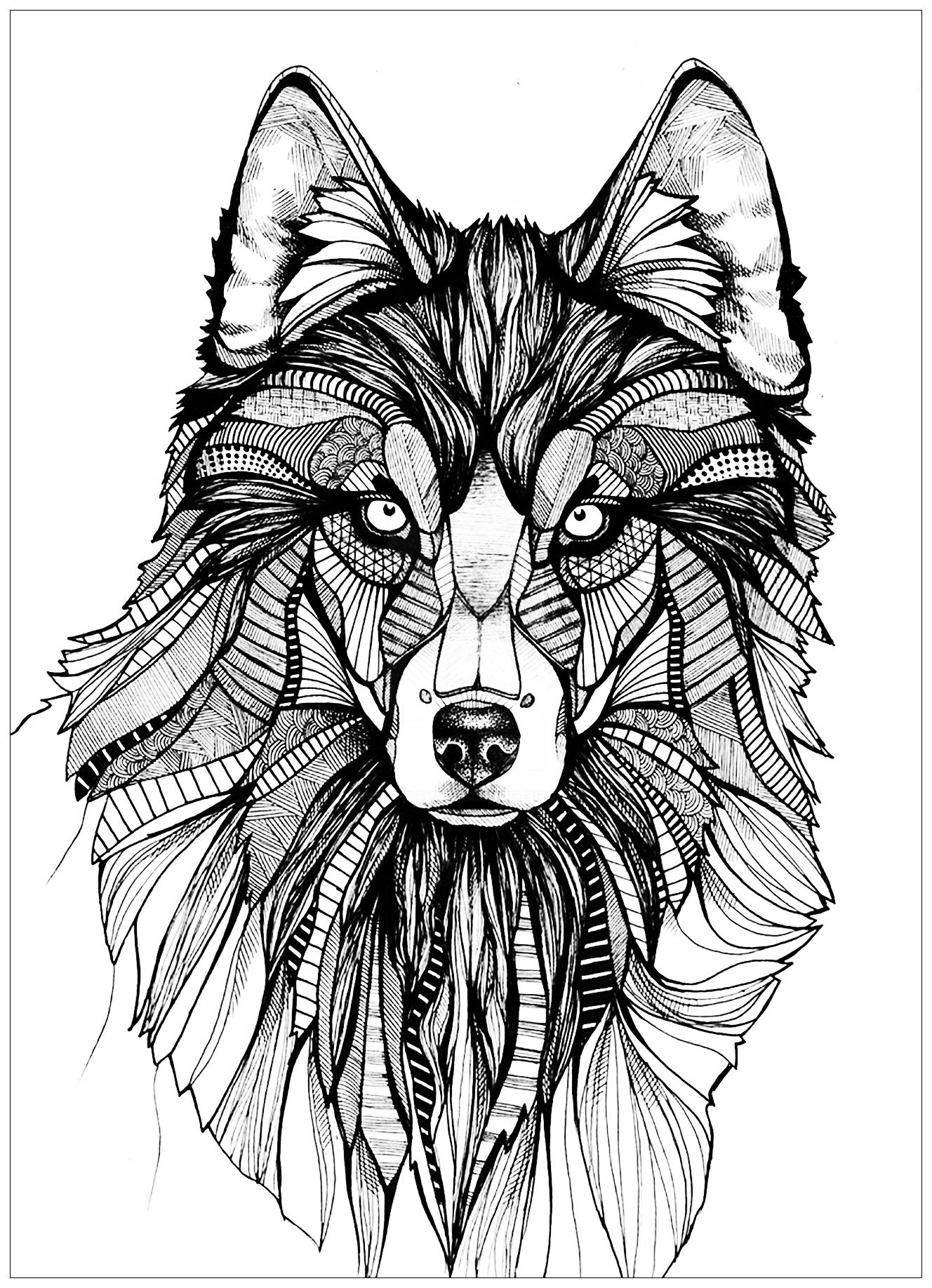 Wolf 3 Wolf Coloring Pages For Adults