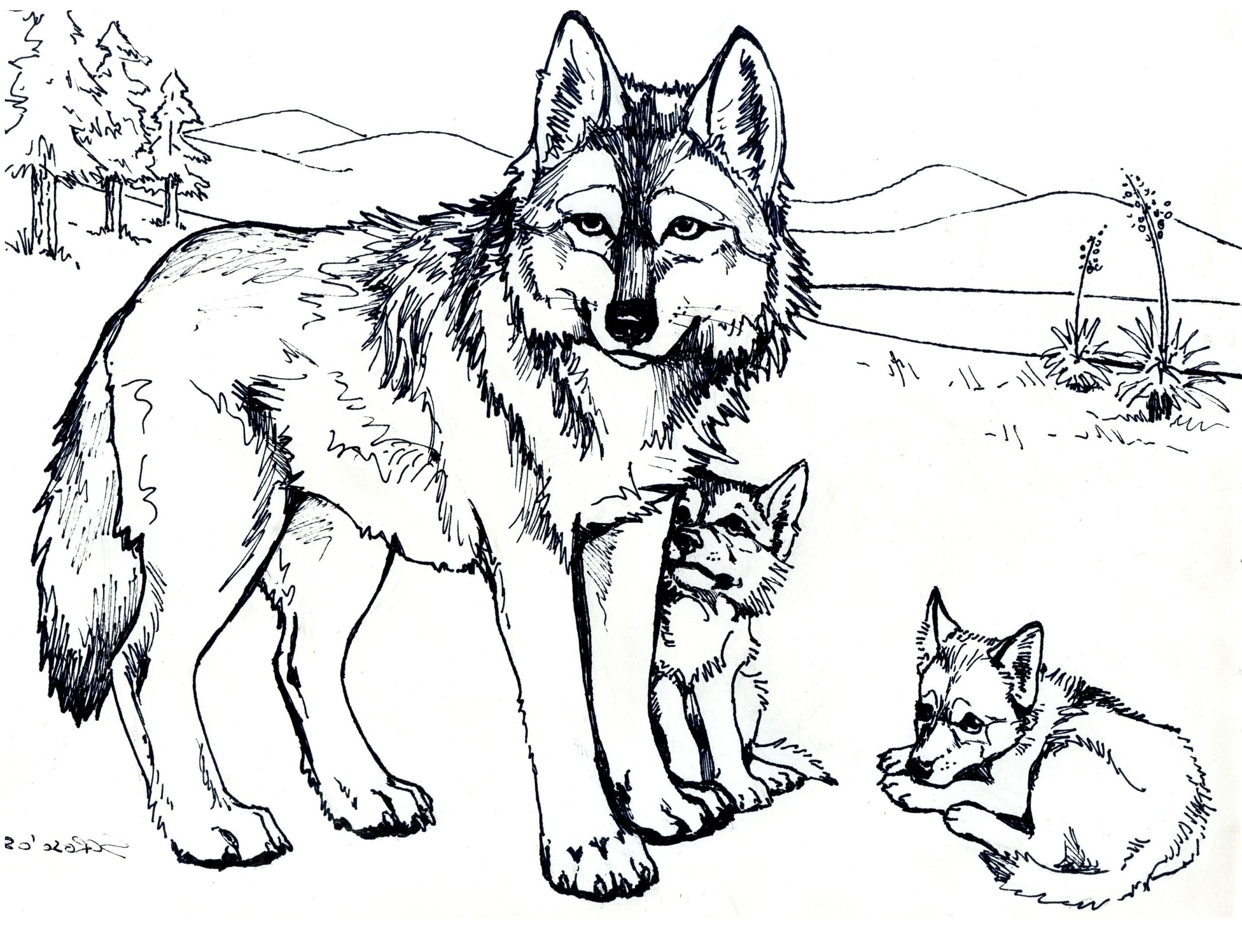 Printable Adult Coloring Pages Wolfs