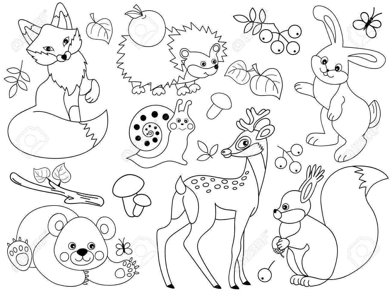 Woodland Animals Colouring Sheets Coloring For Kids