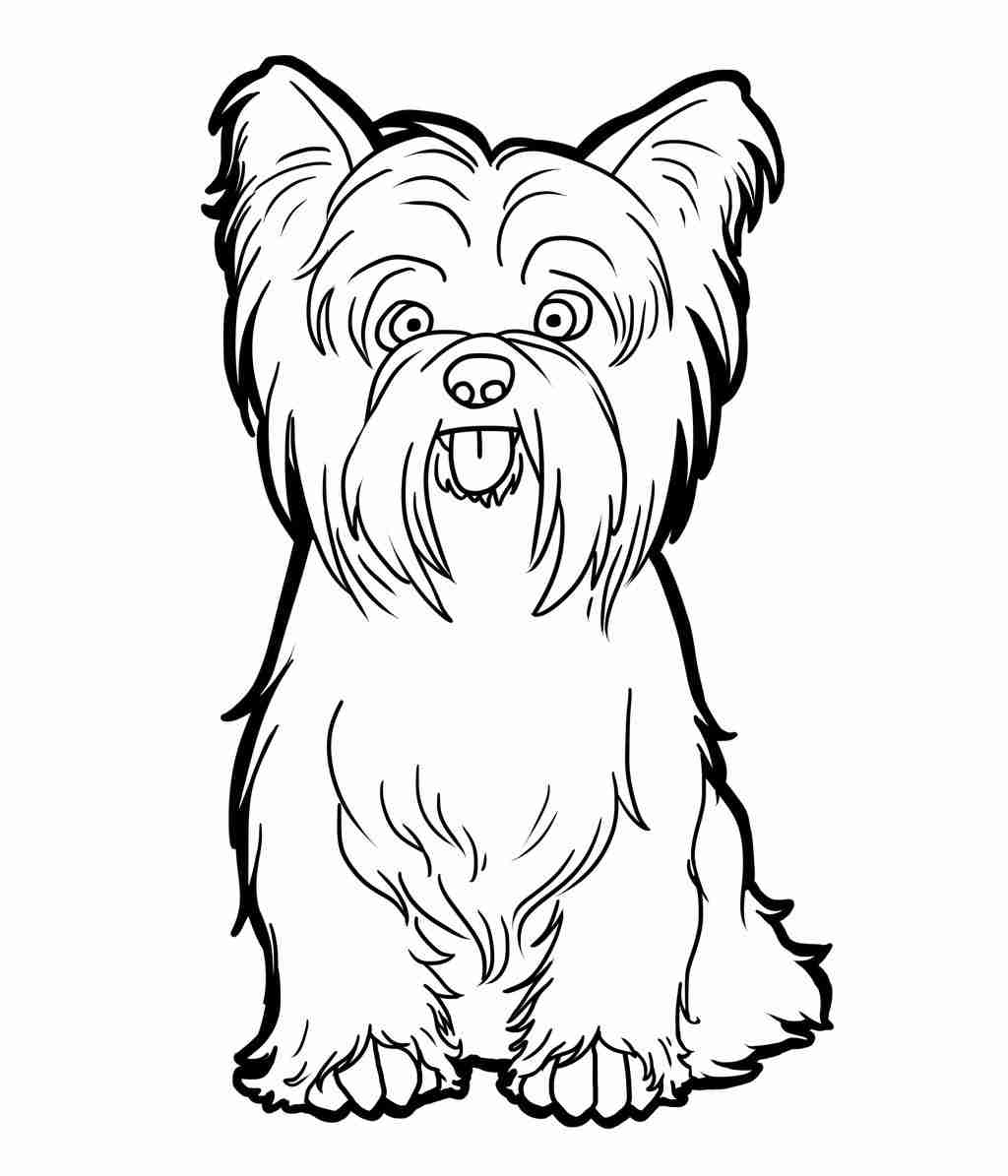 Yorkie Coloring Pages At GetColorings Free Printable Colorings Pages To Print And Color