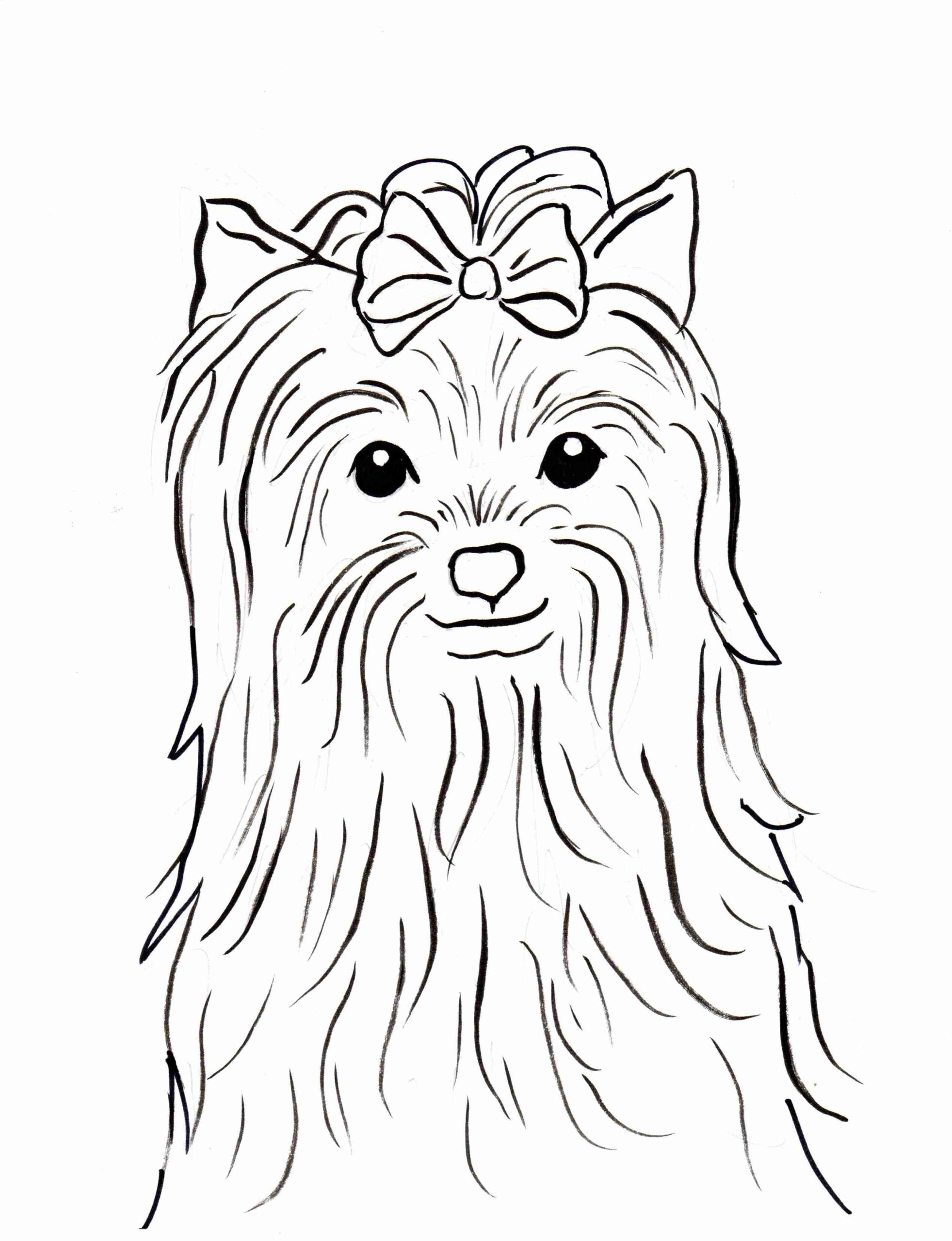Yorkie Dog Coloring Pages At GetColorings Free Printable Colorings Pages To Print And Color