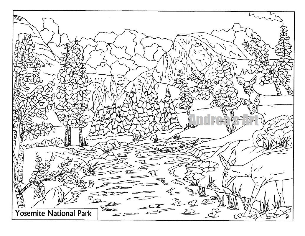 Yosemite National Park Coloring Page Animals Nature