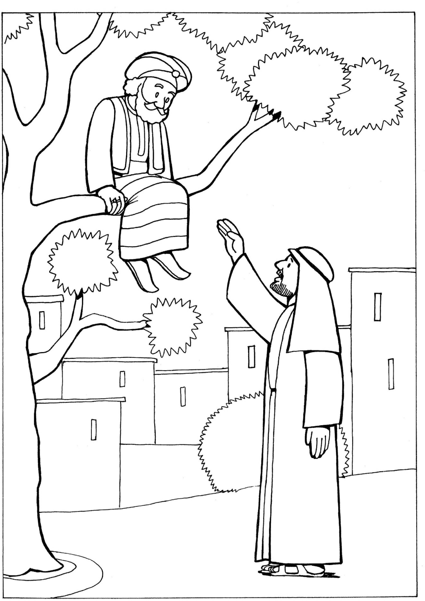 Zacchaeus Free Coloring Pages Sketch Coloring Page