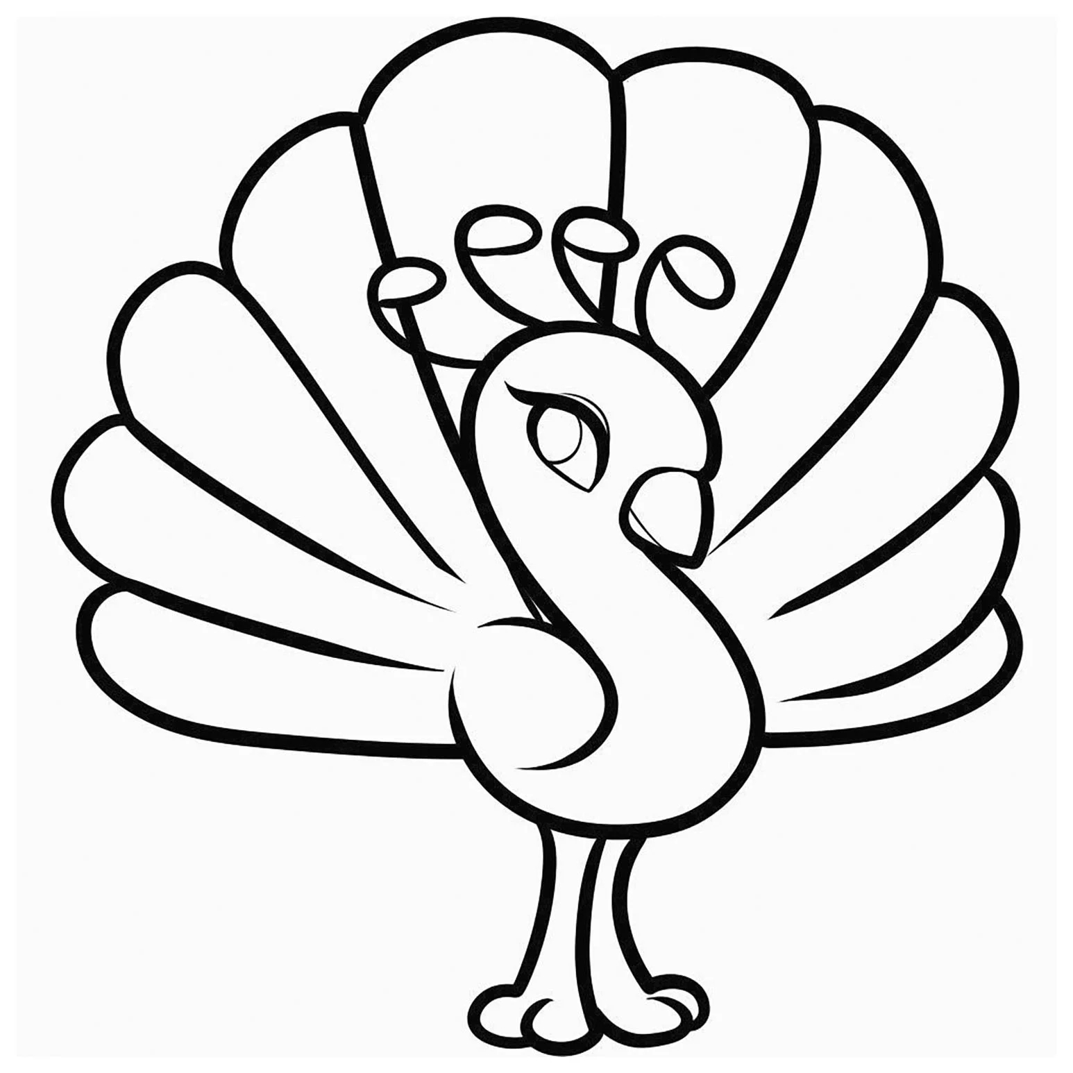 free printable peacock coloring pages for kids for peacock coloring pages peacock coloring