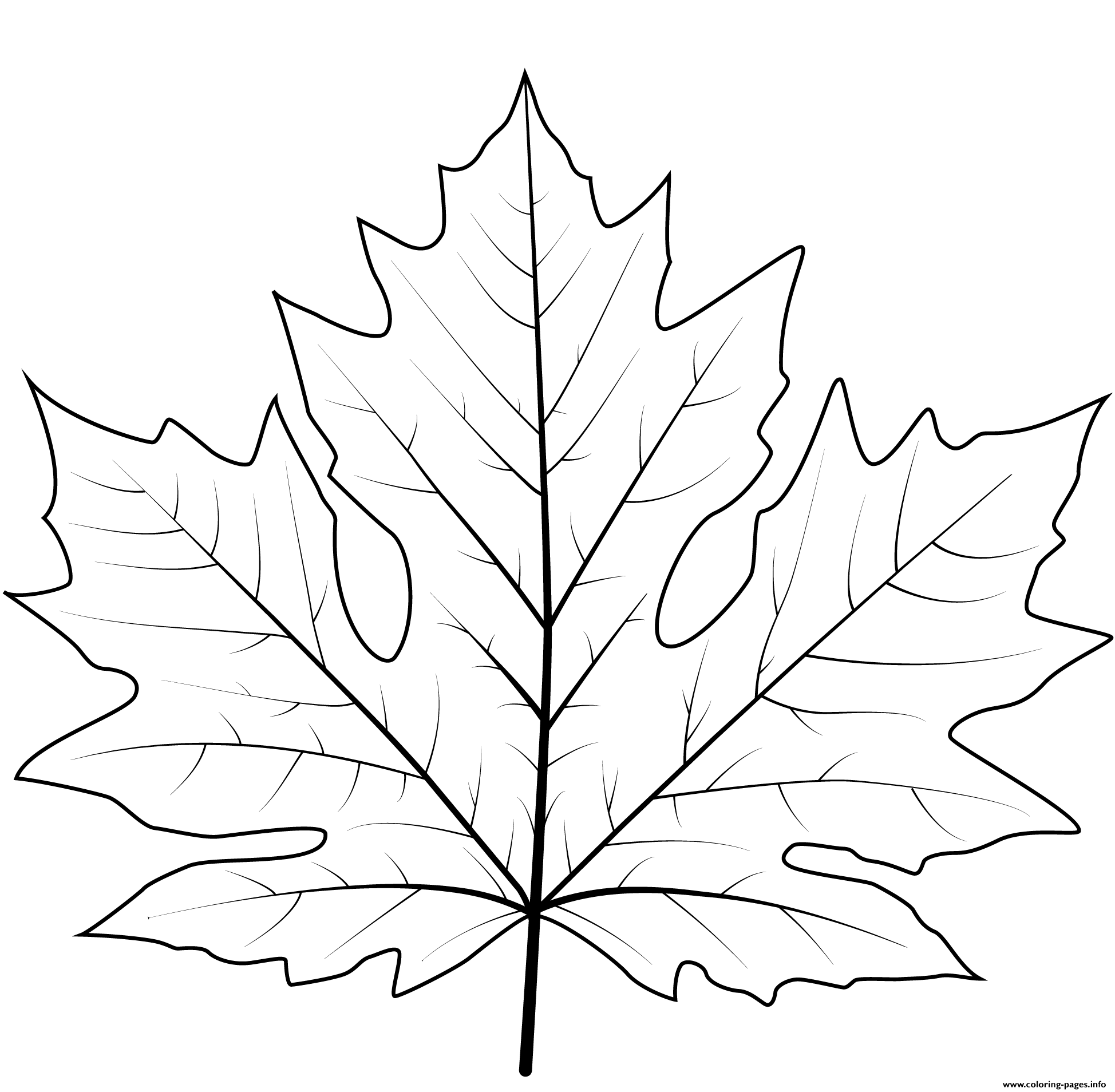 leaf coloring page printable
