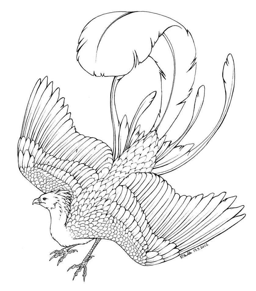 phoenix coloring pages to download and print for free