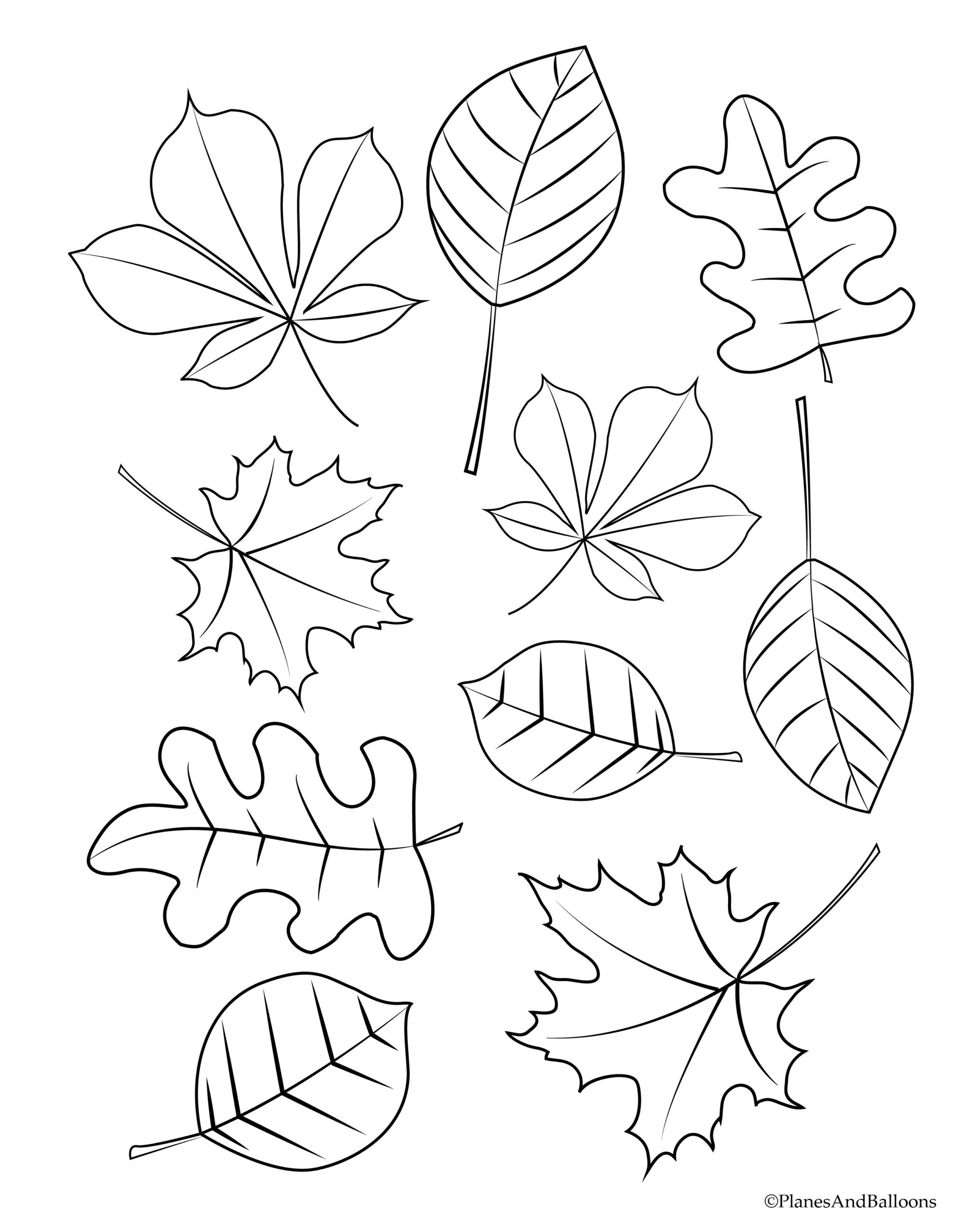 printable leaves coloring pages